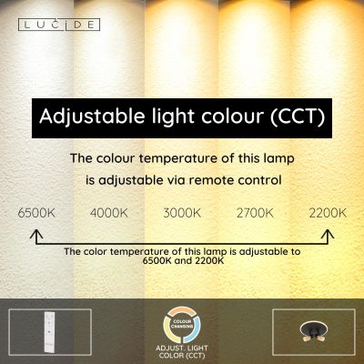 Lucide EVERINA - Flush ceiling light - Ø 30 cm - LED Dim. - CCT - 2200K/6500K - Black